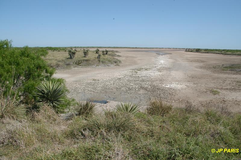 Laguna Atascosa National Wildlif Reserve